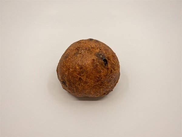 Oliebol